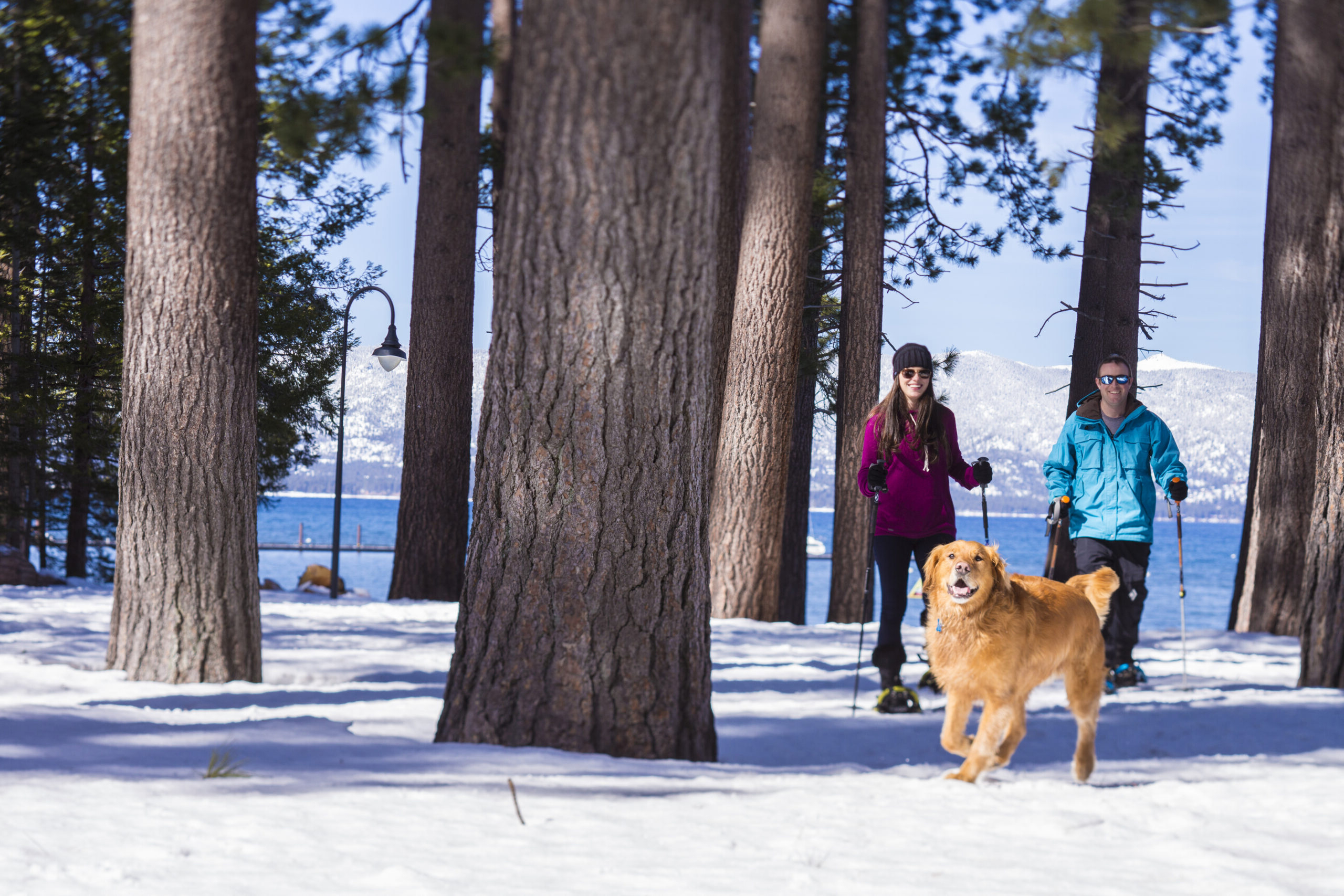Ways to Give Snowshoeing with a dog